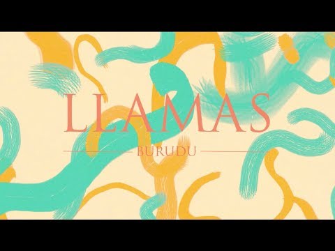 Burudu -  LLAMAS [Lyric Video]