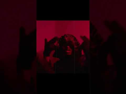 Standin On Integrity - ZionOrZee