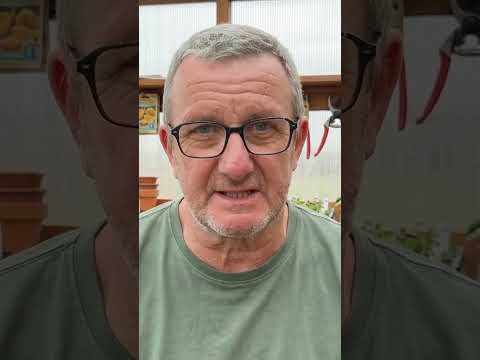 Succession Planting: What Comes After This Crop?