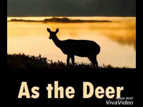 As the Deer (with lyrics) - best heartwarming version