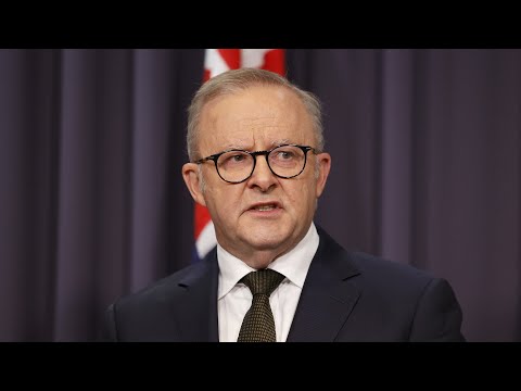 ‘Lack of transparency’: Anthony Albanese’s new hate speech laws in question