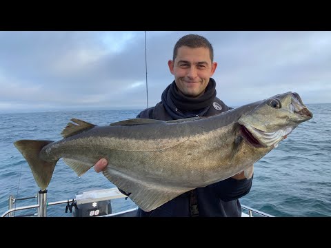 Vinterfiskeri på havet