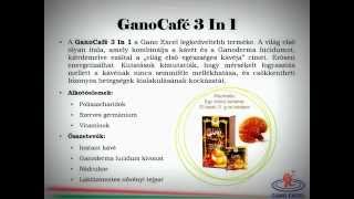 Gano Excel termékismertető