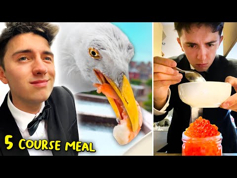 Feeding My Pet Seagull a 5-Course Meal For 100 Days Together!