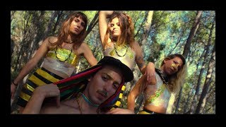 JIRAFA REY  | JALEO REAL