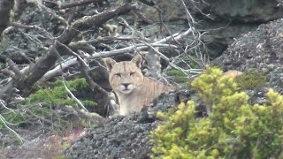 preview picture of video 'Puerto Natales'