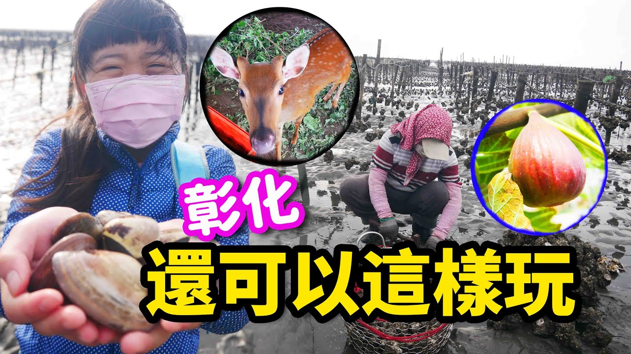 彰化隱藏版玩法~玩瘋在地人的後花園、還有海邊蚵田摸蛤蠣☆哪哪麻☆