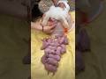 Cute Baby Rabbit Rabbit Khargosh Bunny Tiktok