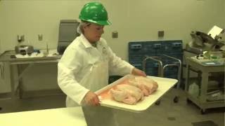 HACCP Food Safety Overview