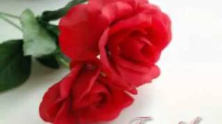 Un  trocito de cielo - Jacy Velasquez