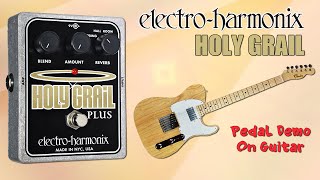 Video thumbnail for EHX Holy Grail Plus Pedal Demo for Guitar - Want 2 Check by Want 2 Check