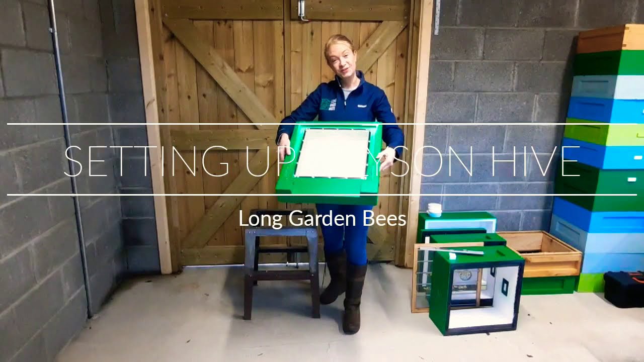 How to set up a Lyson Poly Hive