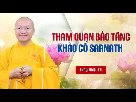 Bảo tàng khảo cổ Sarnath cùng những trưng bày quý giá về Phật giáo - Thầy Nhật Từ