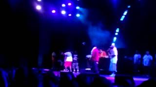 Ghostface Killah (Prospect Park) Lyricist Lounge