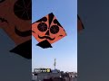 Please Subscribe Watch End Viral Song Ytshorts Kiteflying Kite Kites Shorts Short