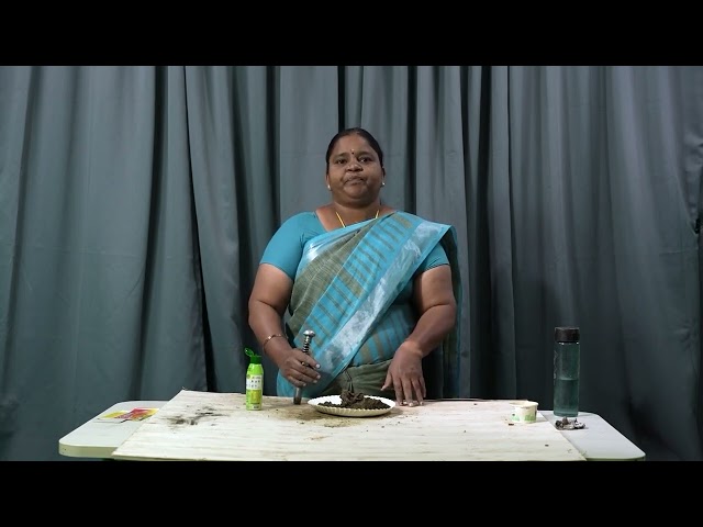 thumbnail of the course