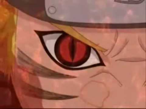 O matador video
