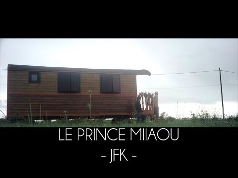 Le Prince Miiaou - JFK (extrait 4/6 de l'album 'where is the queen?') Teaser #4