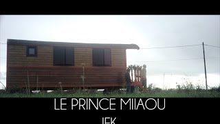 Le Prince Miiaou - JFK (extrait 4/6 de l'album 'where is the queen?') Teaser #4