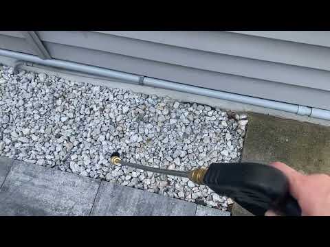 Odorous House Ants Around the Home in Fair Haven, NJ