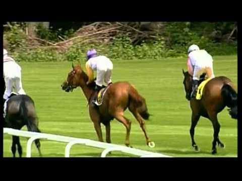 München-Riem, Preis des Ayinger Jahrhundertbier, 24.06.2012 - Siegerin: Devaki