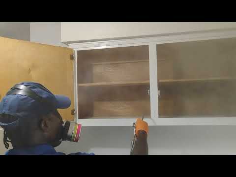 Cockroaches Raiding the Kitchen Cabinets in...