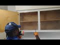 Cockroaches Raiding the Kitchen Cabinets in Manalapan, NJ