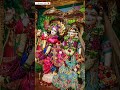 Radhe Krishna Whatsapp Status Video 2023 Status Lovestatus Radherani Krishnavani Shorts 4k
