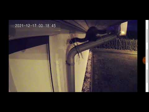 Marder Abwehr " Du kommst nicht vorbei"