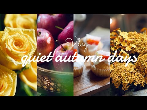 🍂🤎 Vlog One of my days in November