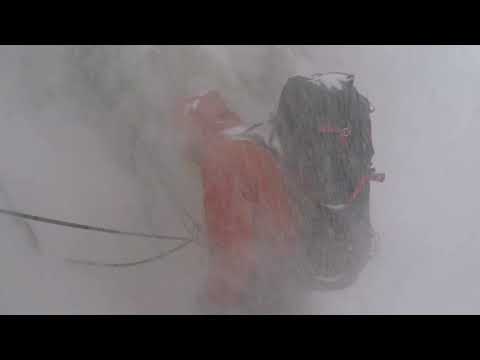 Slovak Direct South Face of Denali