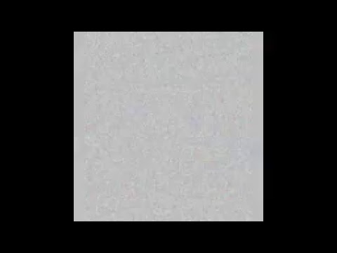 Tommy Vee Live Stream