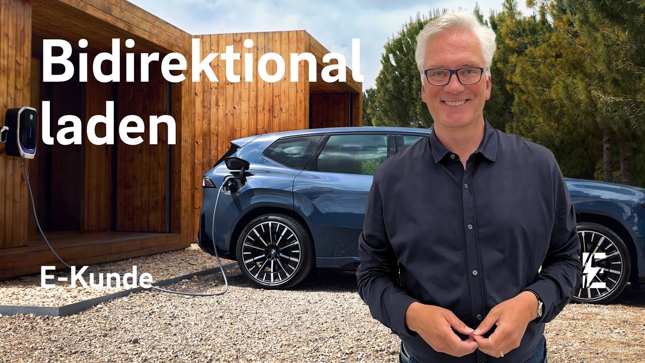 Mit dem E-Auto Geld verdienen