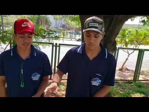 MC Jhow e Jhowzin Menina vem cá