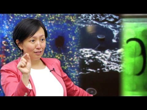 RI Seminar: M. Ani Hsieh : Exploiting the Environment to Improve Autonomy