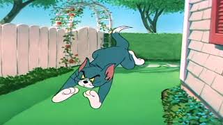 Tom and Jerry  Slicked Up Pup  Episode 60 Part 2