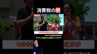 【神谷宗幣】「消費税は物を買ったら罰金」大企業に9兆円還付する裏側を国会議員が激白