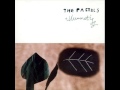 The Pastels (1998) Illuminati -Remote Climbs (John McEntire mix)