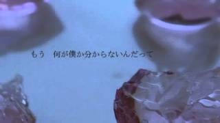 - divide / Lily