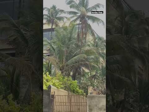 Akshay Kumar And Hrithik Roshan Beach House | Prime Beach | #shorts #akshaykumar
