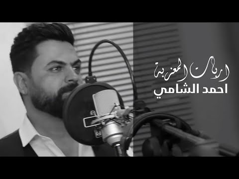 اربات المعزبة احمد الشامي