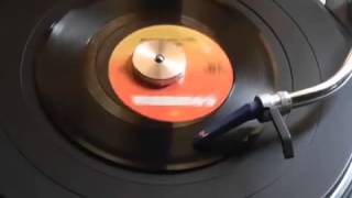 Charlie Sheen - Don&#39;t Stop Being Gay 45RPM