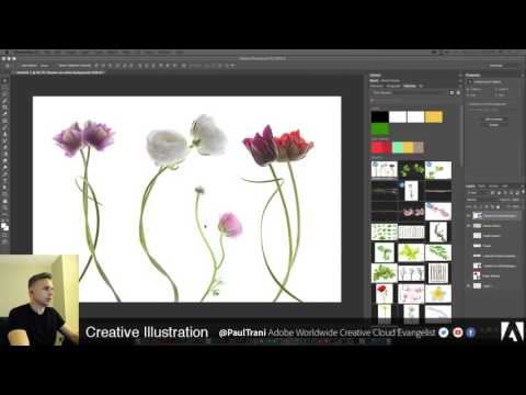 Paul Trani Live Stream: Vector Illustration in Illustrator & Photoshop