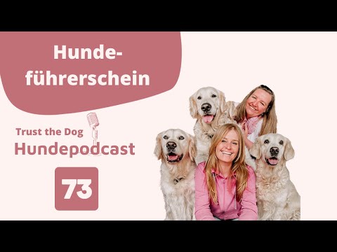 Hundeführerschein - Trust The Dog - Der Hundepodcast