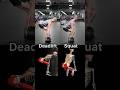Deadlift vs. squat 🦿 Shoutout to @MuscleandMotion for the amazing anatomy graphics!