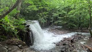 奥入瀬に行ってきた！雨覚悟していたが、行ったら晴れた！！(2025/8/27)