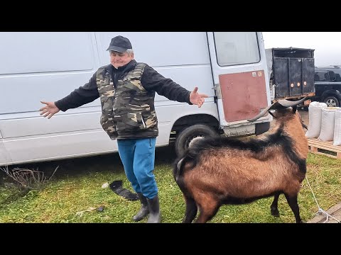 Targ de tara Sighetu Marmatiei, decembrie 2025