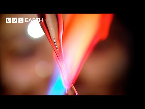 Uncover The Secrets Of Our Cells | BBC Earth Science | BBC Studios