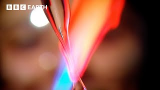 Uncover The Secrets Of Our Cells | BBC Earth Science