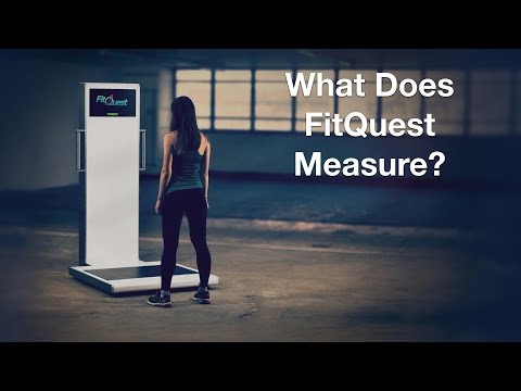 What Does FitQuest Measure